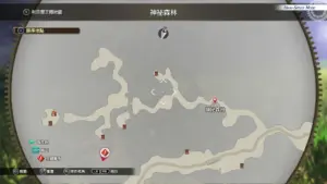 神秘森林宝箱